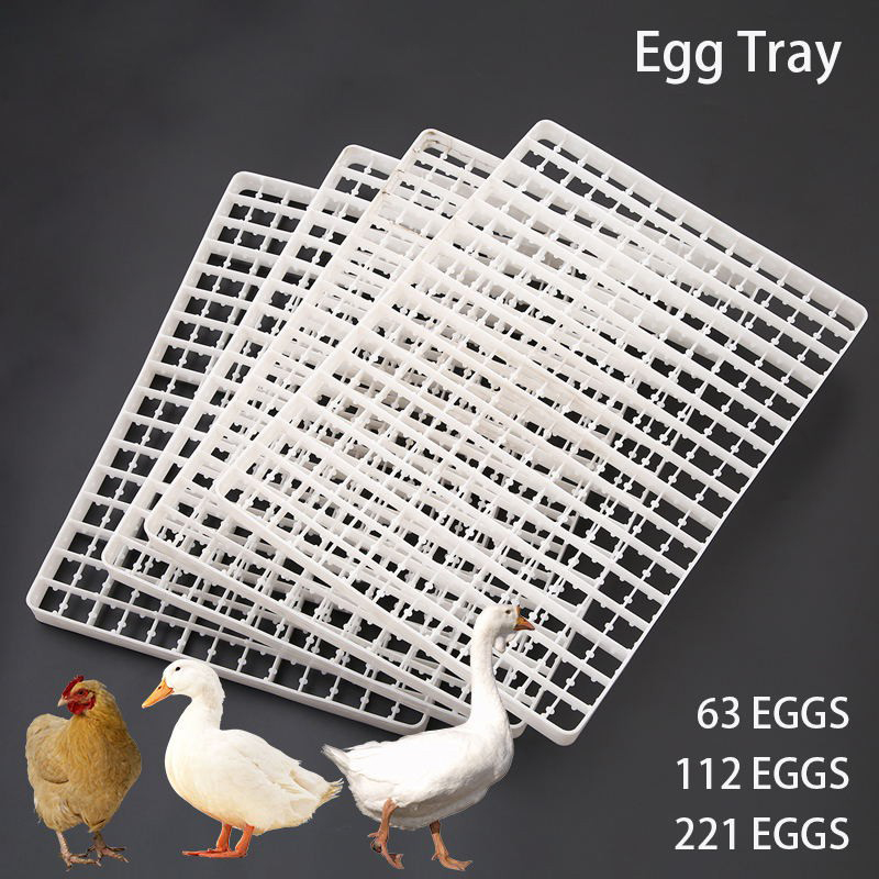 Quail Egg Incubator - 1 adet yumurta tepsisi için inkübatör