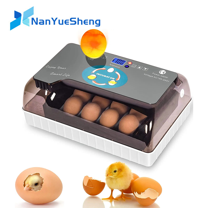 Quail Egg Incubator - Otomatik HHD En İyi Dijital 12