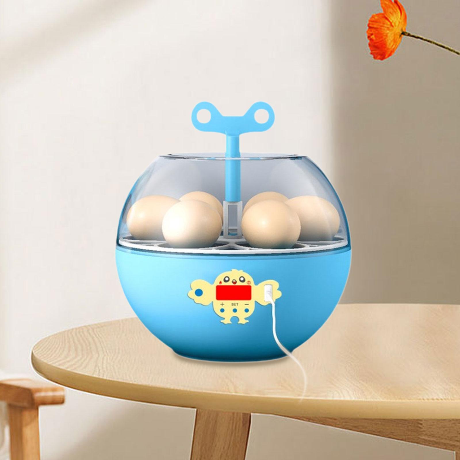Quail Egg Incubator - 6 Yumurtalık Mini Görünür Kuluçka Makinesi,