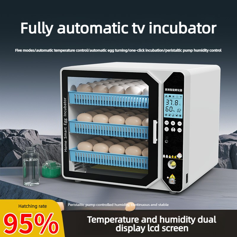 Quail Egg Incubator - Akıllı Kuluçka Makinesi Küçük Ev Tipi