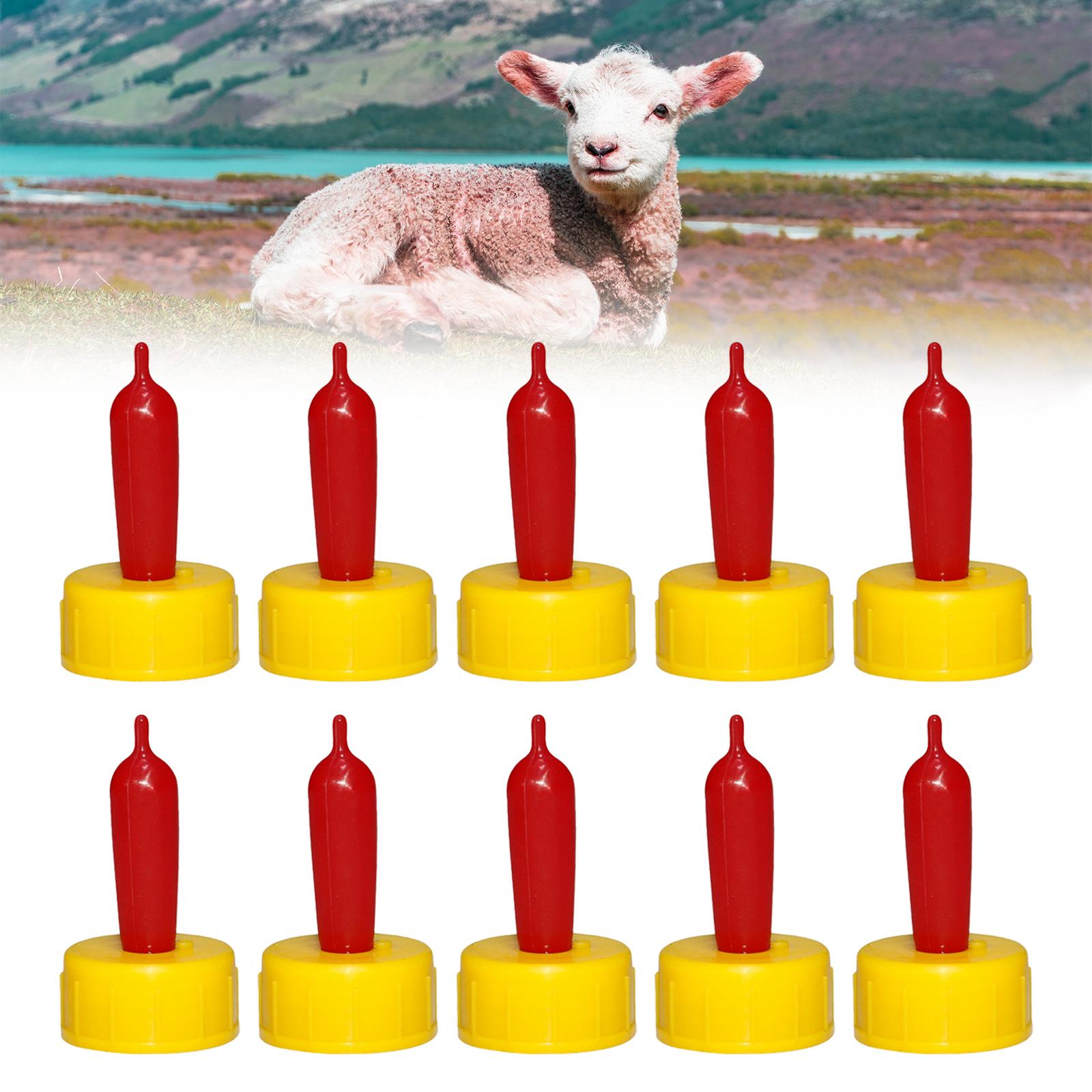 Koyun Keçi Kuzu Buzağı Emzik B - Agriculture Farming Livestock incelemesi ve fiyatı