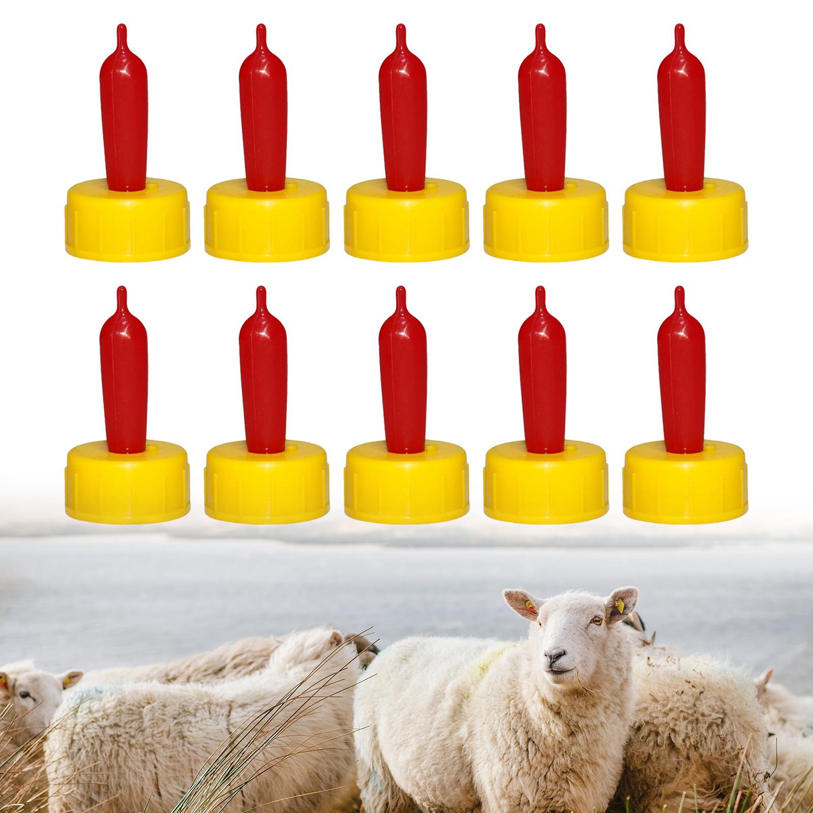 Koyun Keçi Kuzu Buzağı Emzik B - Agriculture Farming Livestock incelemesi ve fiyatı