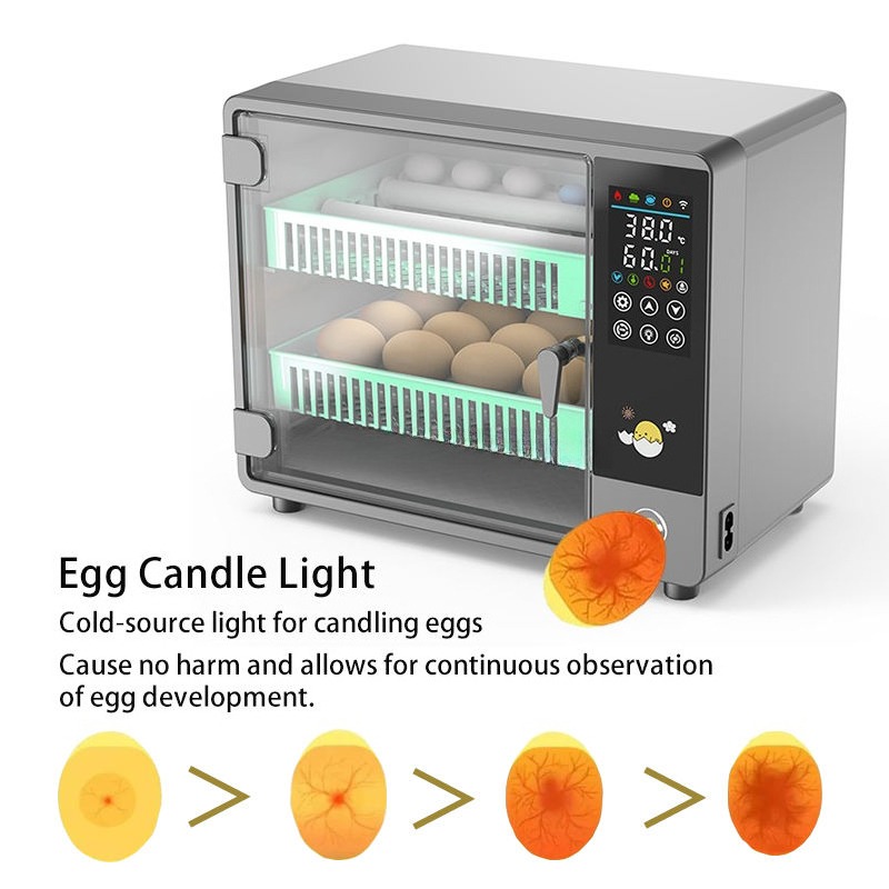 Fabrika Çıkışı 2026 Tam Otomat - Quail Egg Incubator incelemesi ve fiyatı