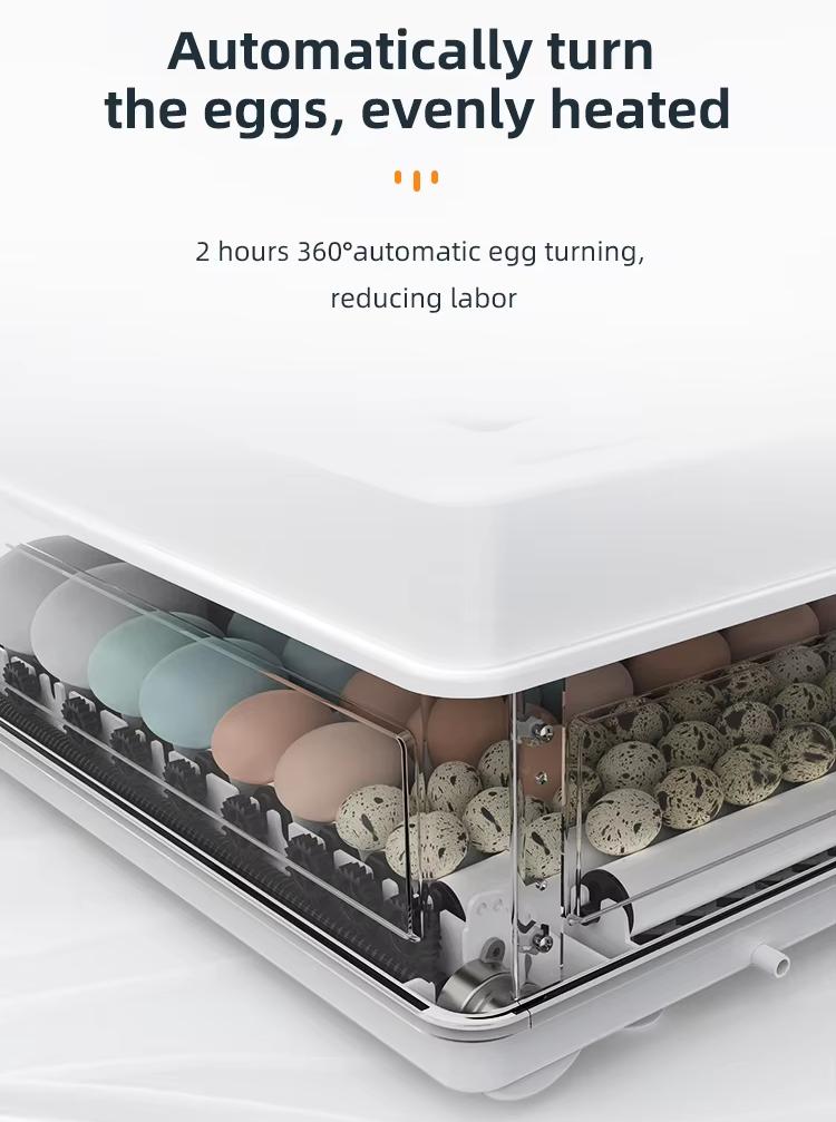 Tam Otomatik 130 Kapasiteli Yu - Quail Egg Incubator incelemesi ve fiyatı