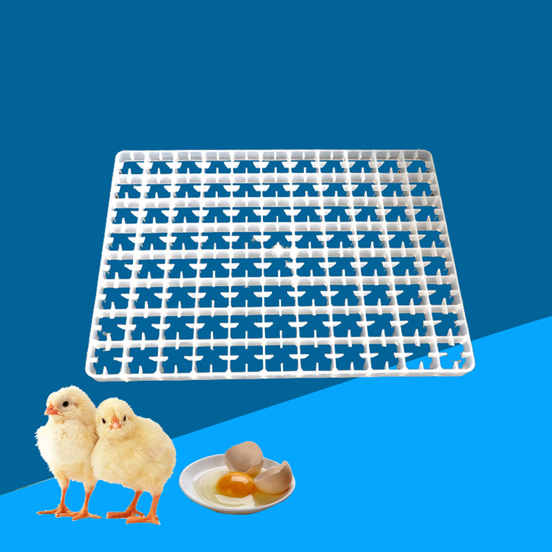 1 adet yumurta tepsisi için in - Quail Egg Incubator incelemesi ve fiyatı