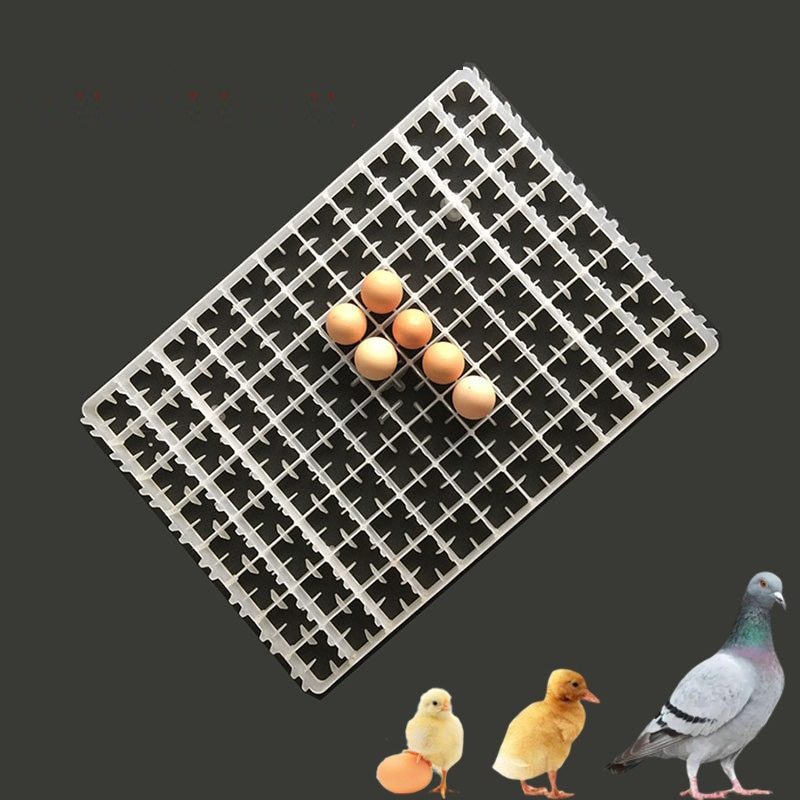 1 adet yumurta tepsisi için in - Quail Egg Incubator incelemesi ve fiyatı