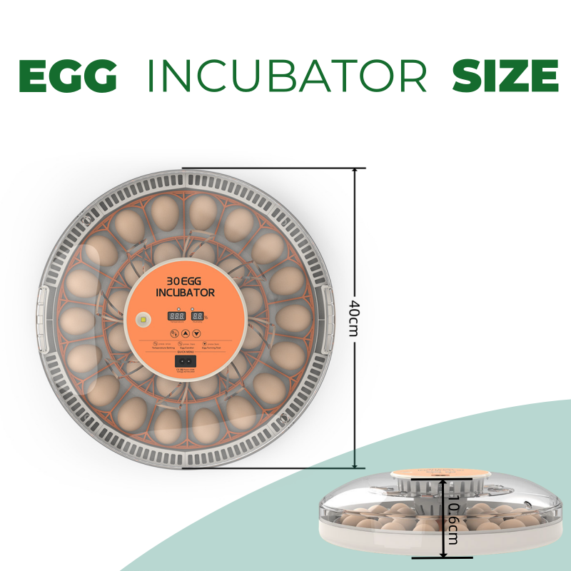 STLF30 Yumurta Ev Tipi Kuluçka - Quail Egg Incubator incelemesi ve fiyatı