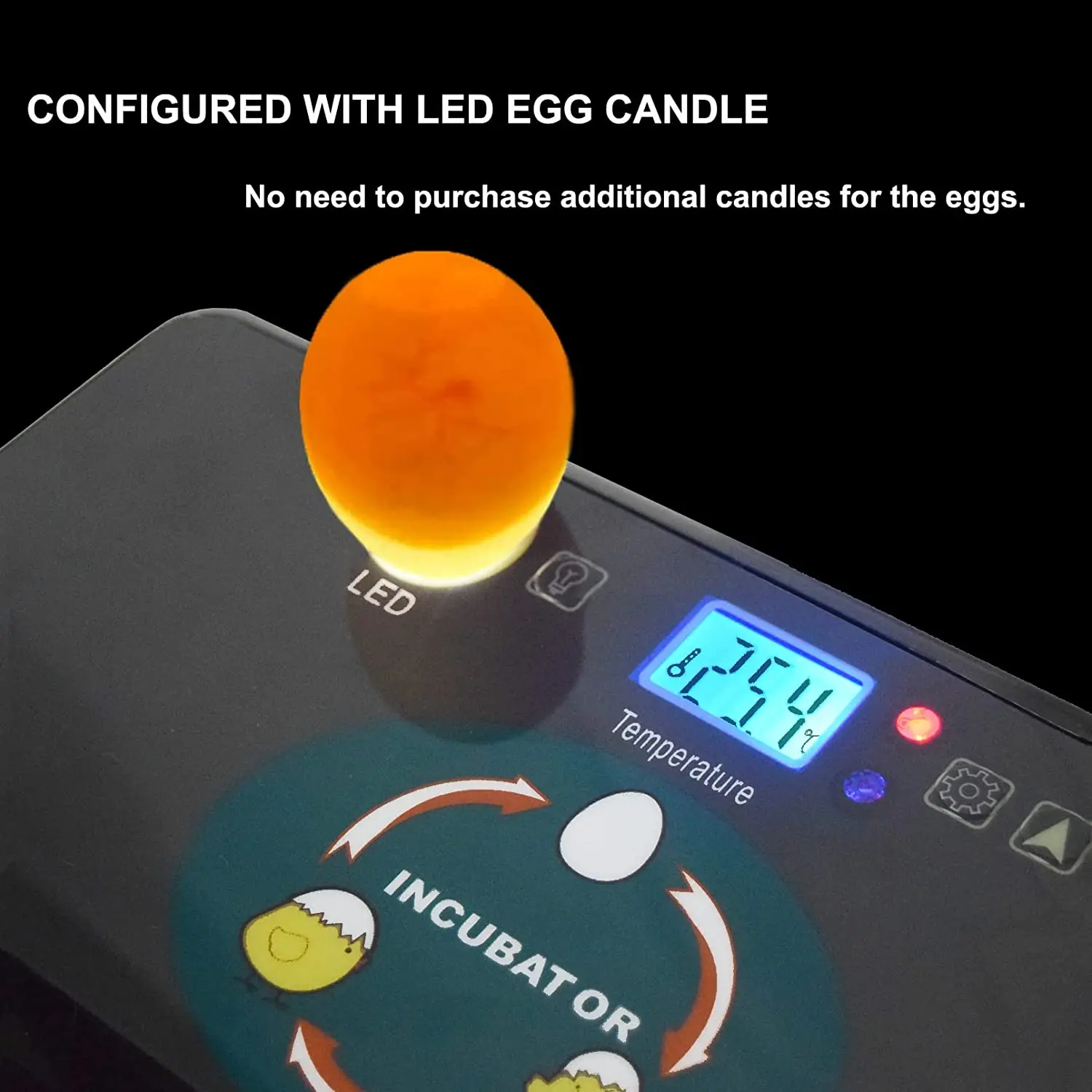 Otomatik HHD En İyi Dijital 12 - Quail Egg Incubator incelemesi ve fiyatı