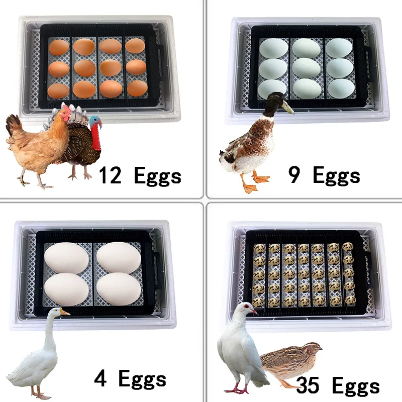 Otomatik HHD En İyi Dijital 12 - Quail Egg Incubator incelemesi ve fiyatı