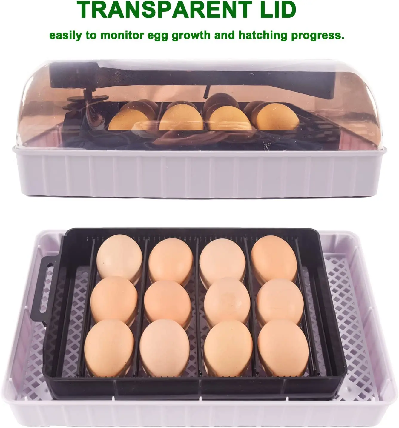 Otomatik HHD En İyi Dijital 12 - Quail Egg Incubator incelemesi ve fiyatı