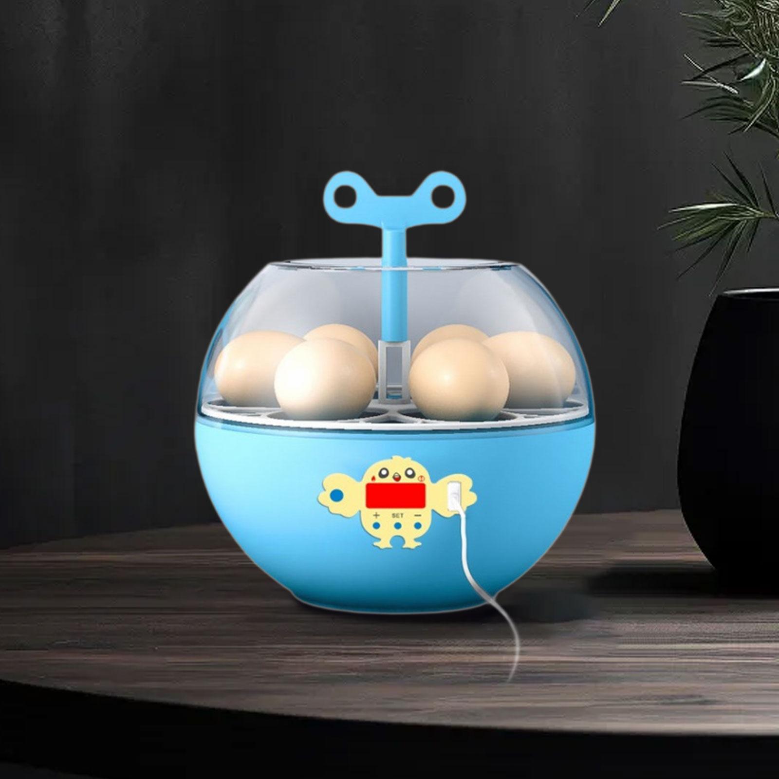 6 Yumurtalık Mini Görünür Kulu - Quail Egg Incubator incelemesi ve fiyatı