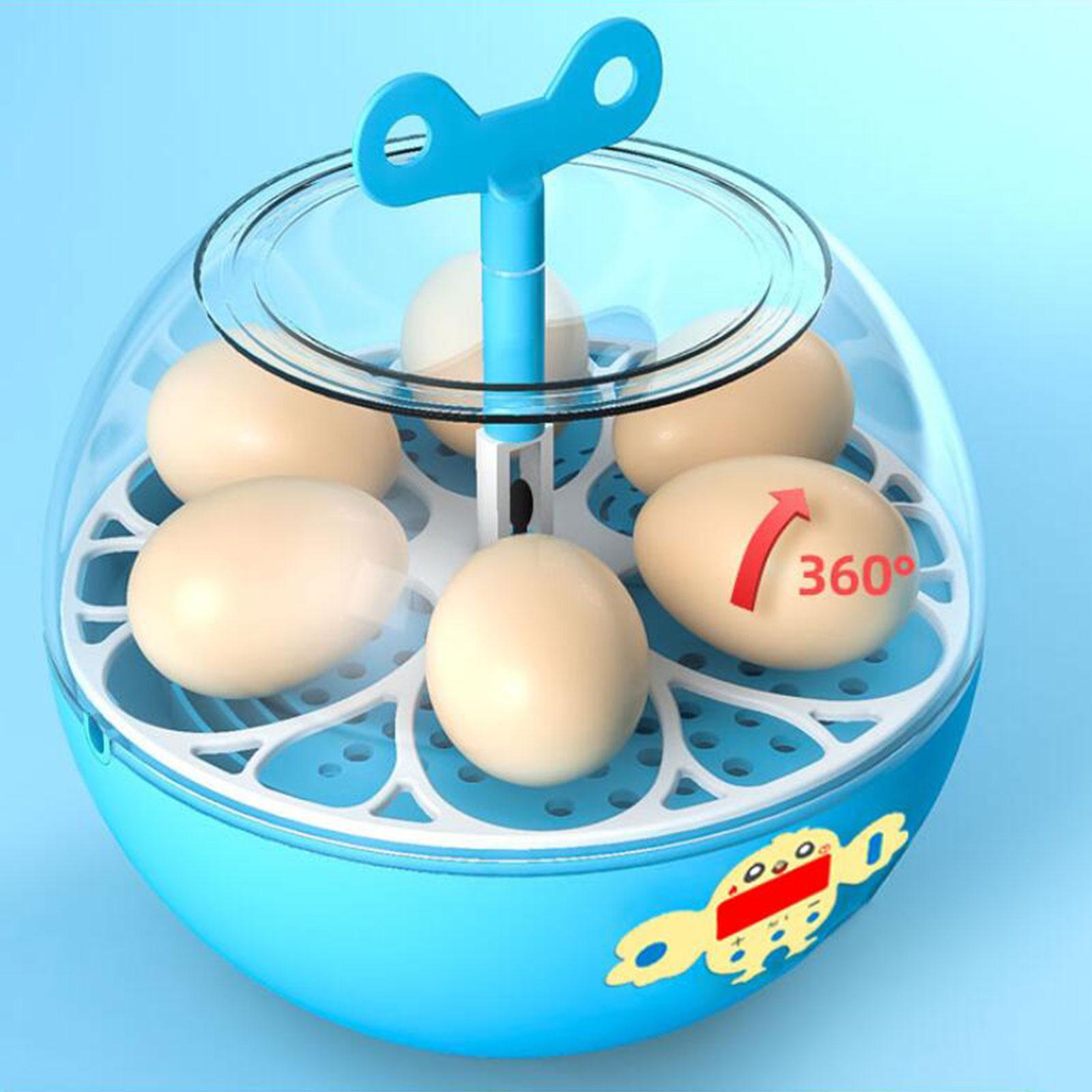 6 Yumurtalık Mini Görünür Kulu - Quail Egg Incubator incelemesi ve fiyatı