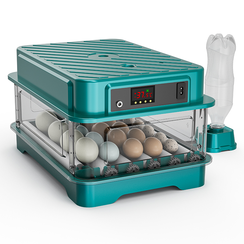 Tam Otomatik Tavuk Bıldırcın Ö - Quail Egg Incubator incelemesi ve fiyatı
