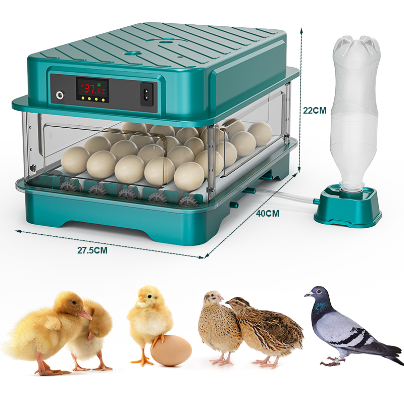 Tam Otomatik Tavuk Bıldırcın Ö - Quail Egg Incubator incelemesi ve fiyatı