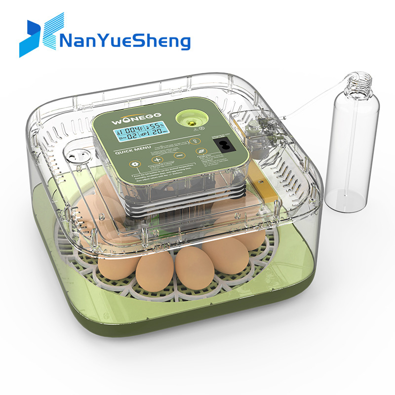 Yeni 12 civciv yumurta kuluçka - Quail Egg Incubator incelemesi ve fiyatı