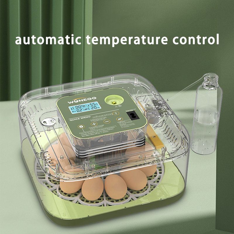 Yeni 12 civciv yumurta kuluçka - Quail Egg Incubator incelemesi ve fiyatı