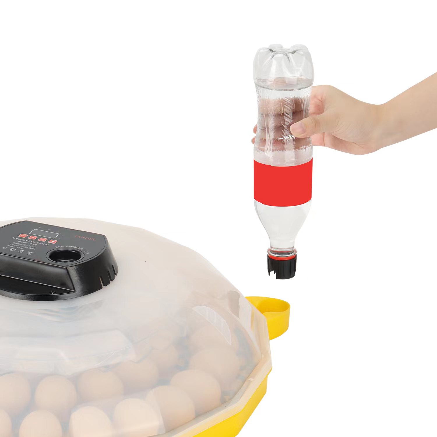 %99 Kuluçka Oranına Sahip Mini - Quail Egg Incubator incelemesi ve fiyatı