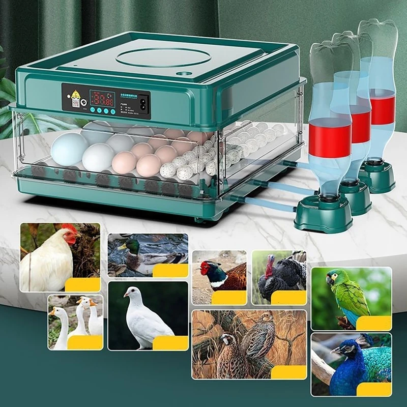 12 24 38 yumurta kuluçka otoma - Quail Egg Incubator incelemesi ve fiyatı