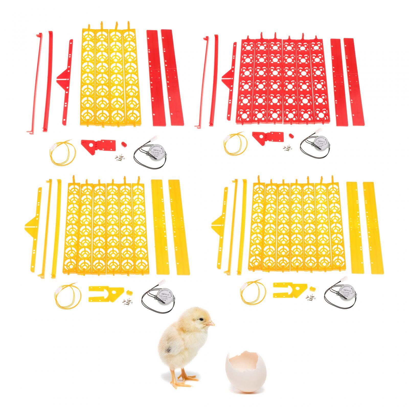 Yumurta Kuluçka Makinesi Tepsi - Quail Egg Incubator incelemesi ve fiyatı